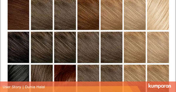 Cara Mengetahui Cat  Rambut  yang Halal kumparan com